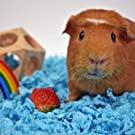 Small manufacture image 12