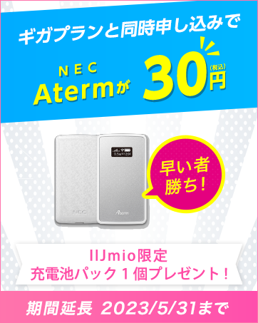 NEC Aterm 充電池パックプレゼント