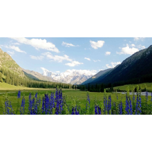 Xiaomi Redmi 10 Dual SIM Mobile- 6.53 Inch FHD , 64GB, 4GB RAM, 4G LTE