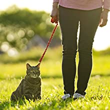 Small manufacture image 7