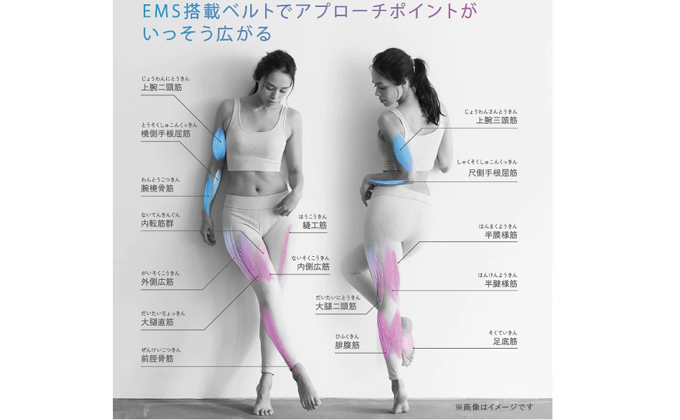 ボディ・フェイスケア Lourdes STYLE Amazon.co.jp: アテックス ATEX ルルドスタイル EMSシート2 AX