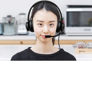プリンストン UniSerB ヘッドセット USB接続 インラインリモコン付 Amazon.co.jp: プリンストン UniSerB ヘッドセット USB接続