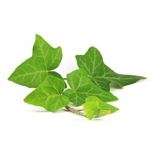 Small manufacture image 7