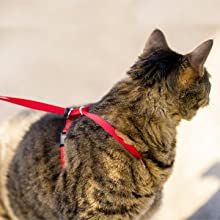 Small manufacture image 8