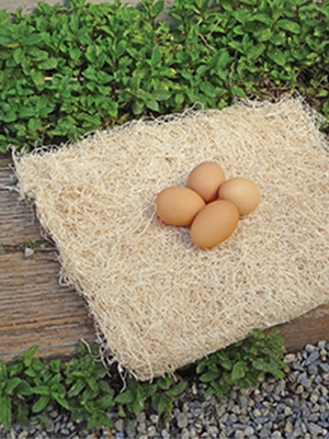 Small manufacture image 1