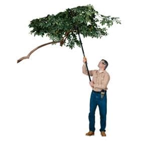 Fiskars 7.9-12 Foot ExtendableTree Pruning Stik Pruner (92406935K) Pack of 1 20 9372c92d 21bc 4b87 b23f 6325acd30560. SR285,285