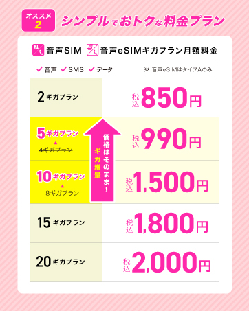 音声esim料金表