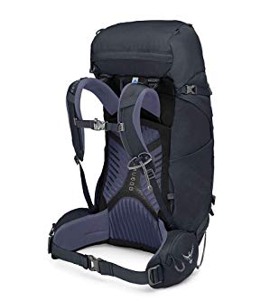 オスプレイ カイト４６ 女性用 OS50145 Ospley バックパック SM Amazon.co.jp: [オスプレー] カイト46女性用 OS50145 アイス