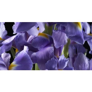 Dior Homme Parfum Eau de Parfum 100ml