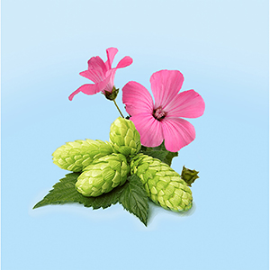 Small manufacture image 6