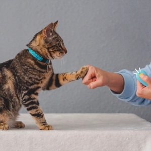 Small manufacture image 1