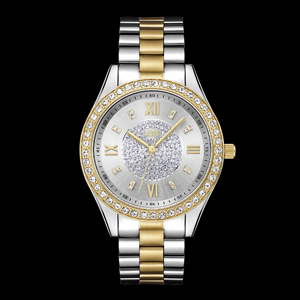JBW Watch for Women 16 Diamonds