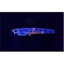 No.224 しらすJ 55S 5個 Amazon | ダイワ(DAIWA) 月下美人 しらすJ アミちらし 55.0mm