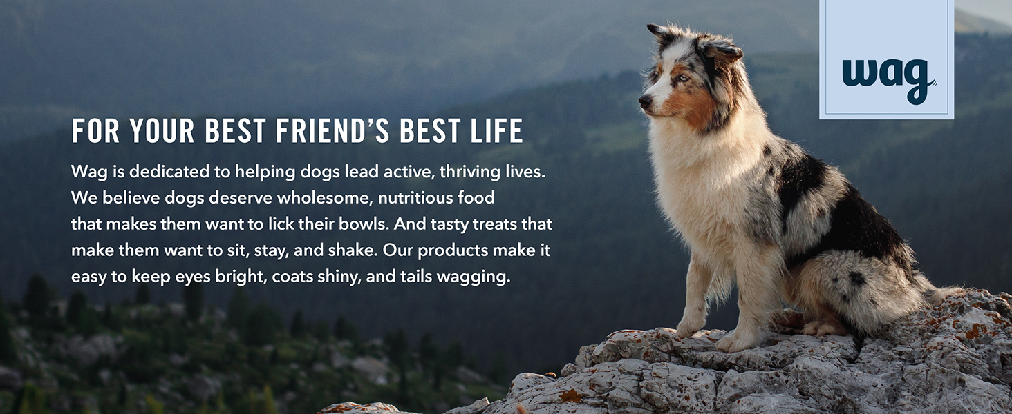 Amazon Brand Wag Dry Dog Food GrainFree Chicken & Lentil