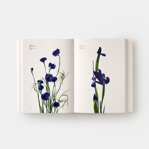 Small manufacture image 6