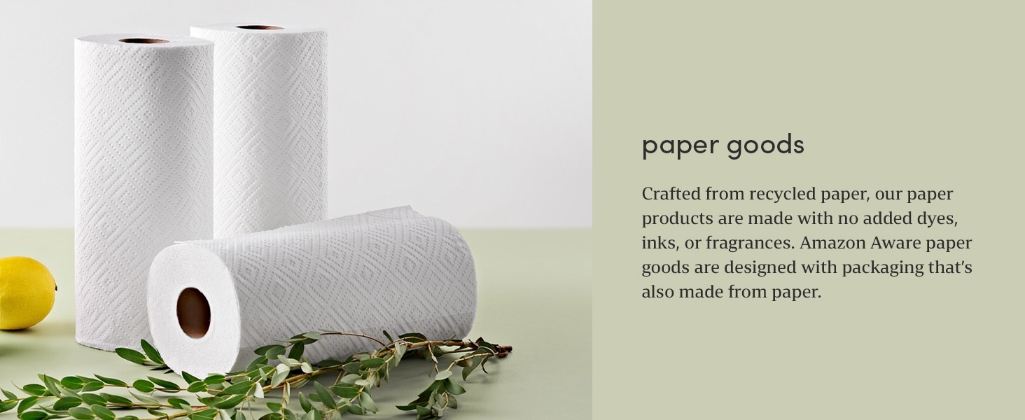 Amazon Aware Toilet Tissues, Produced from 100 Recycled Paper, 36 3