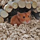 Small manufacture image 14