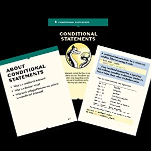 Python Flash Cards: Syntax, Concepts, and Examples : Matthes, Eric ...