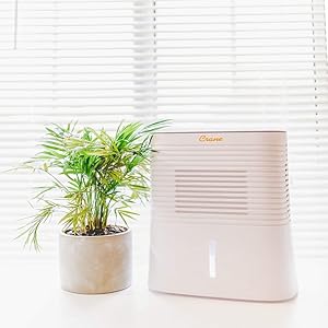  Crane  1.25-Pint 2-Speed Dehumidifier