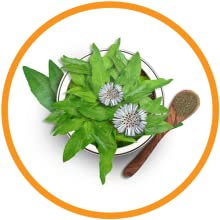 Small manufacture image 10