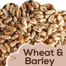 Small manufacture image 5