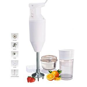 rico hand blender with chutney and juice jar