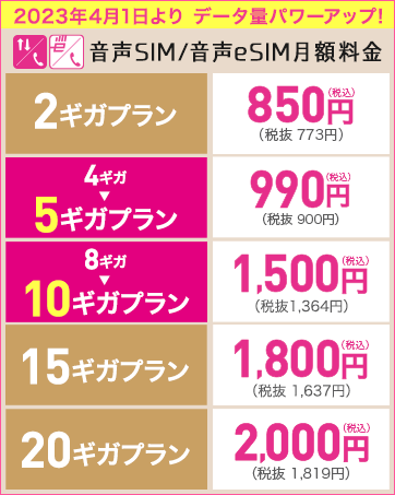 音声SIM月額量