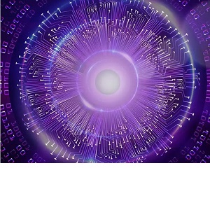 Amazon | Western Digital ウエスタンデジタル WD Purple