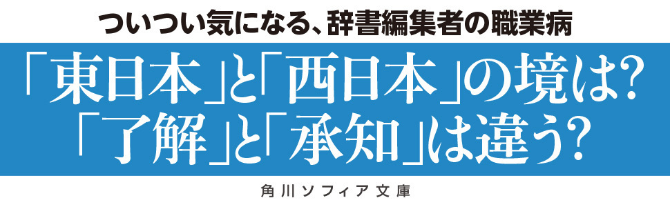 さらに悩ましい国語辞典 角川ソフィア文庫 神永 曉 本 通販 Amazon