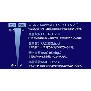 Amazon.co.jp: ロジテック 音楽CD取り込みドライブ WiFi 5Ghz