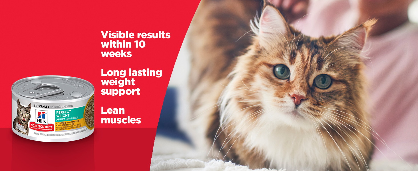 Hill's Science Diet Perfect Weight Canned Cat Food, Roasted Vegetable