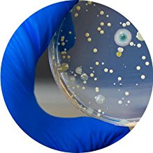 Small manufacture image 4
