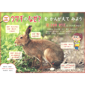 児童書16冊セット (なぜ？どうして？)(10分で読める)(読んでおきたい名作) なぜ?どうして?かがくのお話1年生 (よみとく10分) | 大山光晴