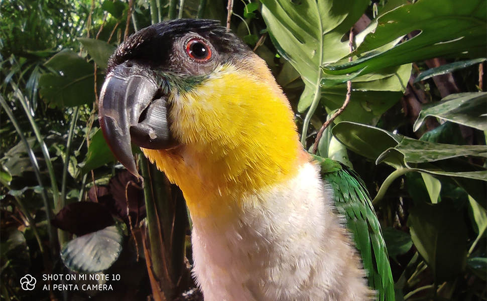 Large manufacture image 1