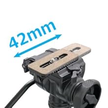 Amazon | Velbon フリュード雲台 FHD-66A 中型 底面径51mm