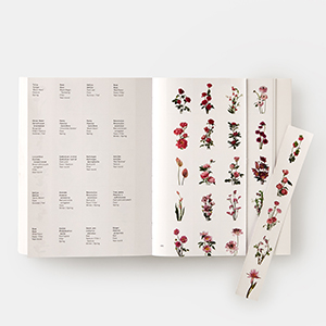 Small manufacture image 8