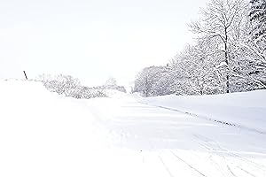 羊と鋼の森 文春文庫 奈都 宮下 本 通販 Amazon