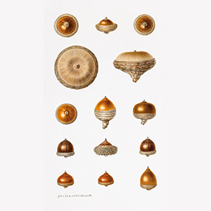 Small manufacture image 9