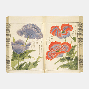 Small manufacture image 8