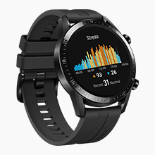 Huawei LTN-B19-BRN GT 2 Smart Watch