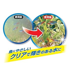 アル　シェリ　専用　本 楽天市場】安全靴 安全スニーカー 喜多 MG-5590 TOP FORM 鋼製先