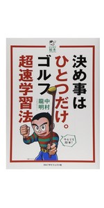 Amazon | OKAYA(オカヤ) ゴルフラウンドグッズ ペグシル (1000ヶ