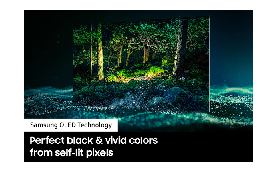 Samsung 55 Inch TV S95B QDOLED 4K HDR Quantum Dot Techonology with Neo