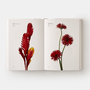 Small manufacture image 7