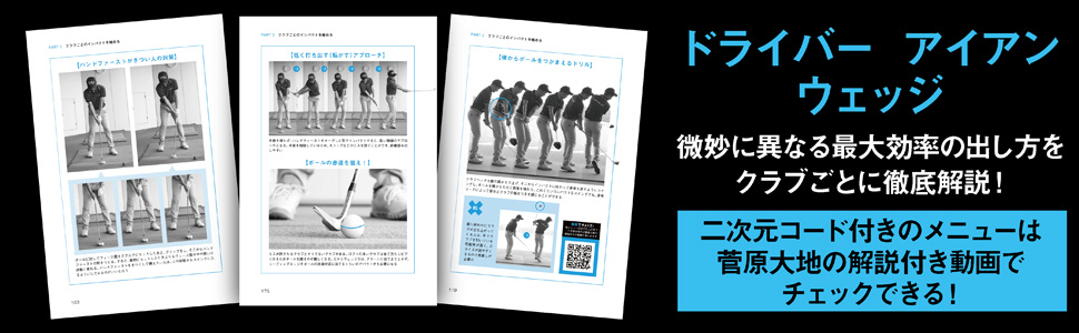 最大効率 インパクト で飛ばす ゴルフスイング最強の教科書 菅原 大地 本 通販 Amazon