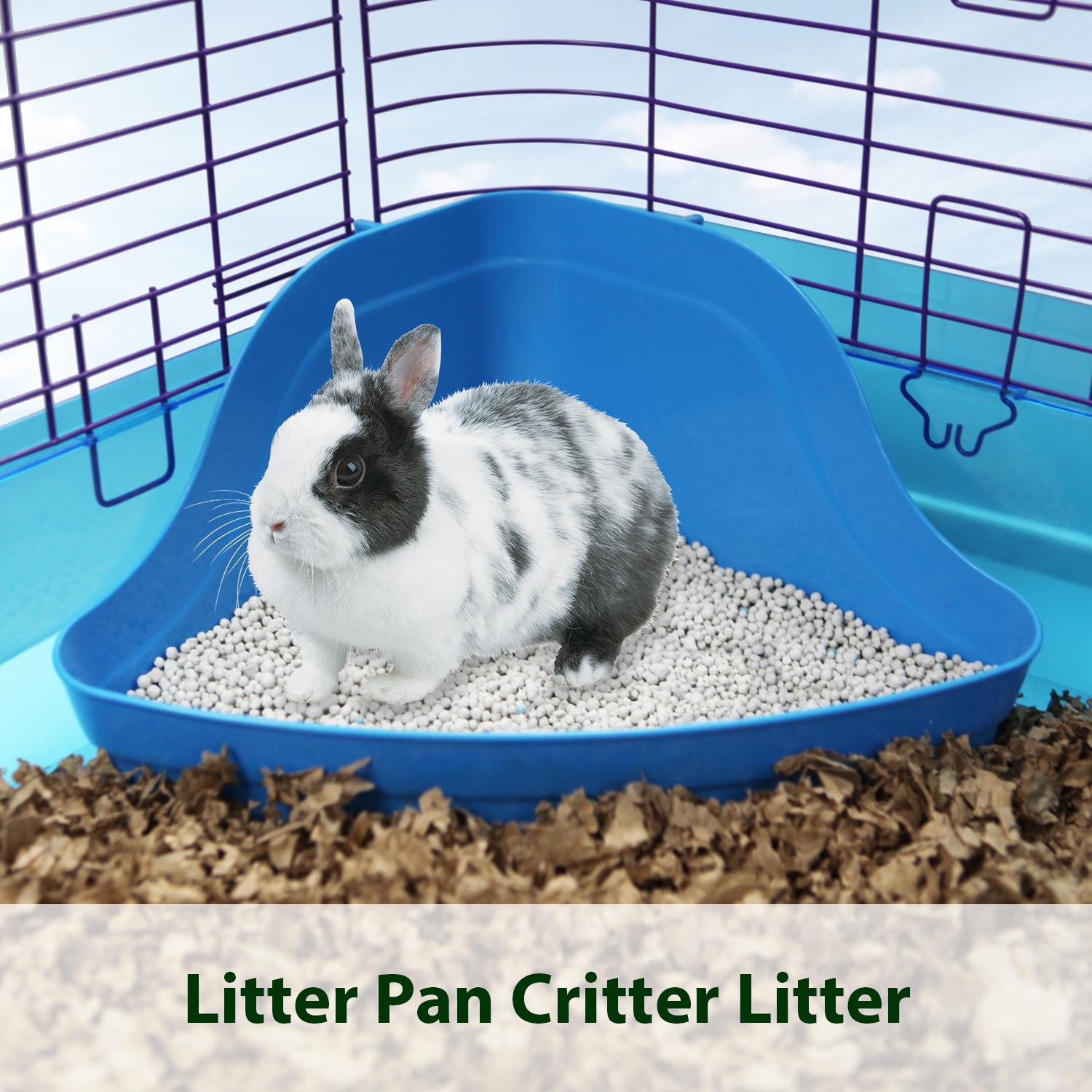 Kaytee Small Animal Critter Litter, 4LB Amazon.ca Pet Supplies