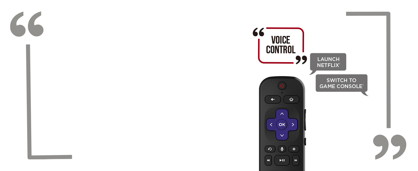 Voice Control