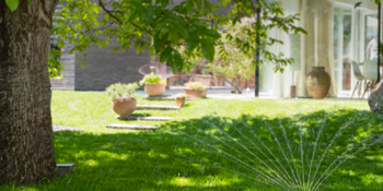 garden, gardening,
