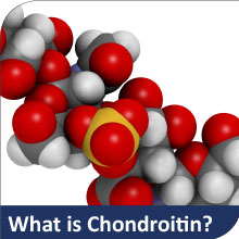 chondroitin