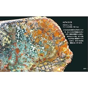 【中古】 化石の愛/光文社/池永陽 中古】 化石の愛/光文社/池永陽 化石の愛 中古本・書籍 | ブックオフ